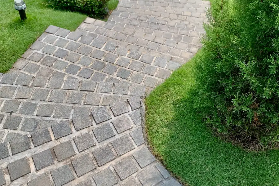 Geschwungener Pflasterweg durch eine Rasenfläche