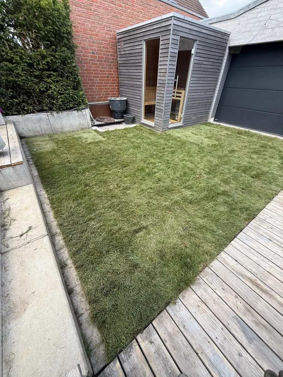 Derselbe Garten nach dem Verlegen von Rollrasen: dichte, sattgrüne Rasenfläche